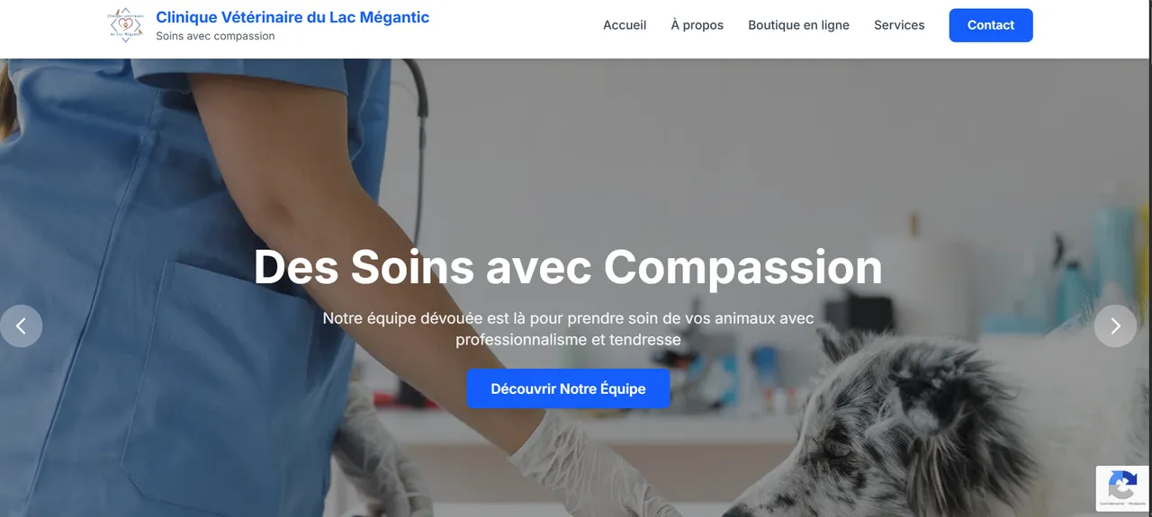 Clinique Vétérinaire du Lac-Mégantic